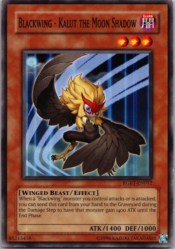 Blackwing kalut the - -,