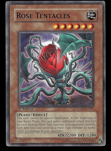 1st edition rose - 1st,