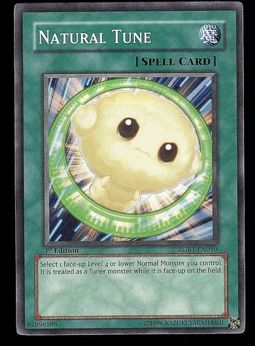 1st edition natural - 1st,